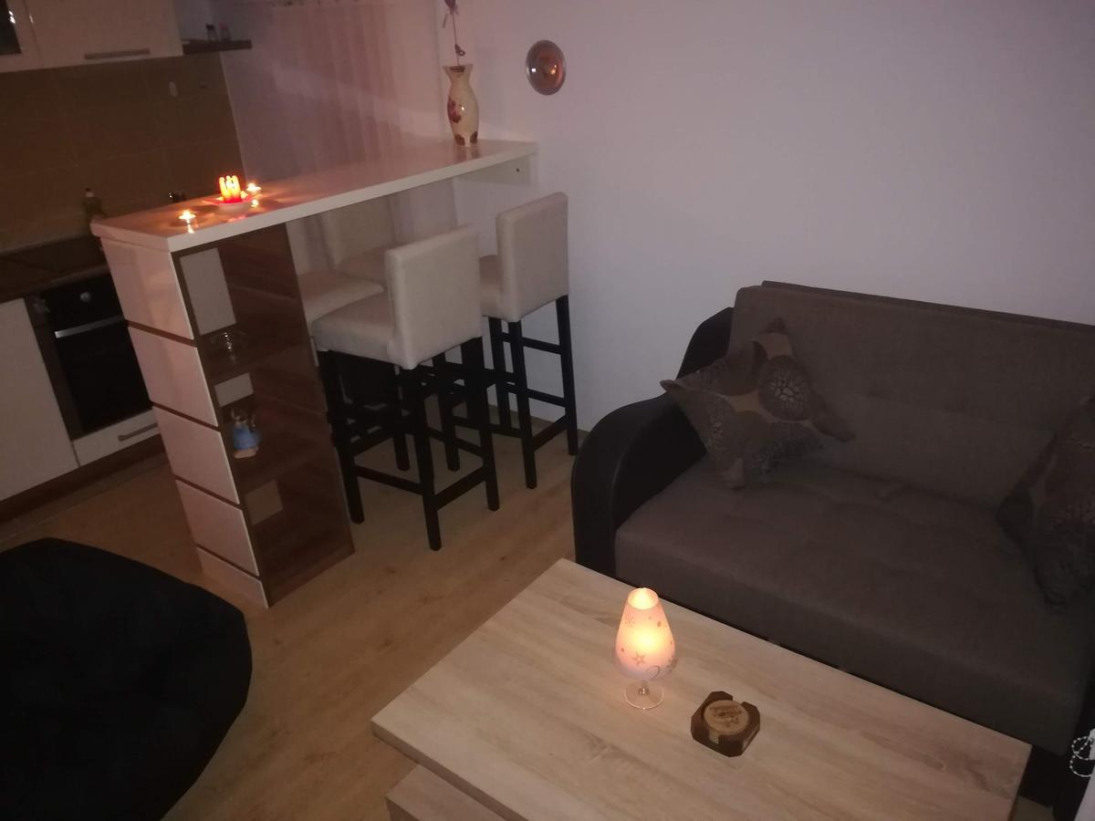 Apartman "Vienna" Soko Banja Eksteriør bilde